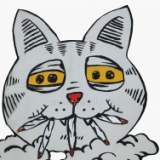 baroncuda