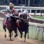 TracksideMikeN