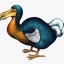DODOBIRD