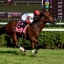 jerrymac17